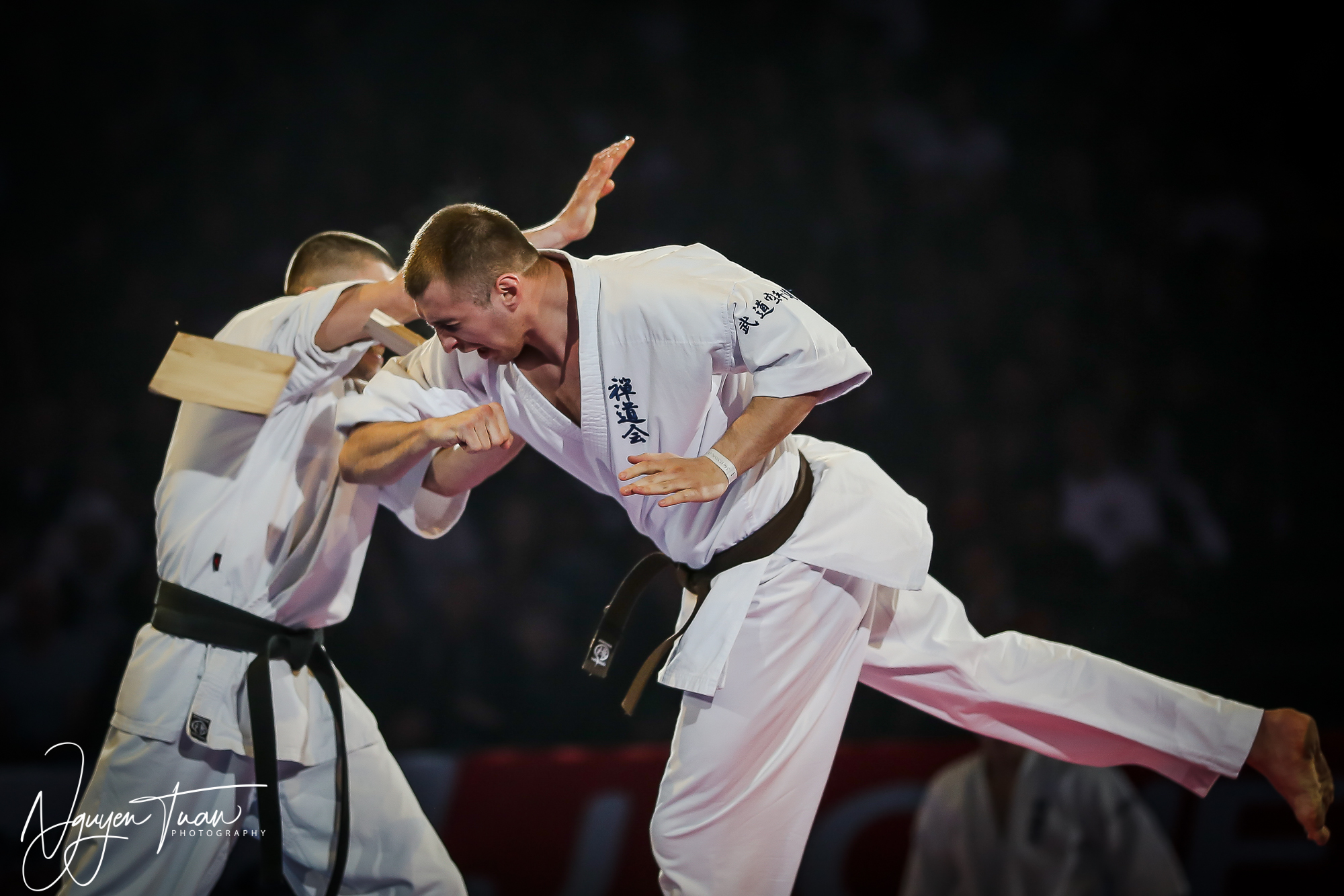 20190324 Festival des Arts Martiaux 3311